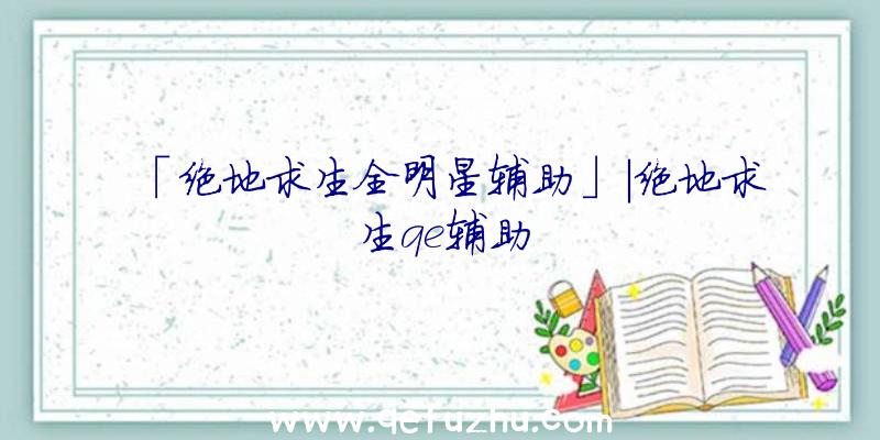 「绝地求生全明星辅助」|绝地求生qe辅助